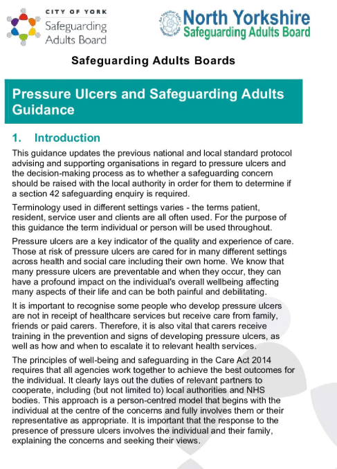 Pressure Ulcers and Safeguarding Adults Guidance thumbnail